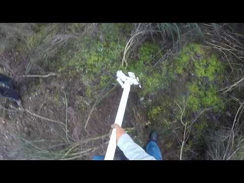 Pullerbear Pro XL321 Tree Puller - 10 Scotch Broom Pulled in 60 secs.