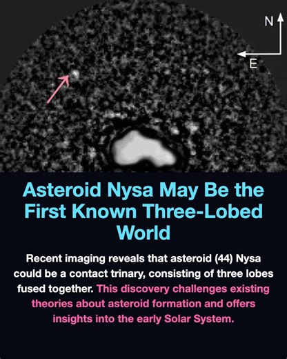 Asteroid Nysa May Be the First Known Three-Lobed World