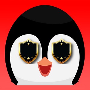 Protector: Redirect and Block - Block Countries, IP, VPNs, Bots and prevent content Copy | Shopify App Store