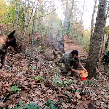 1.1M views · 10K reactions | How to build bushcraft survival shelter, outdoor camping and wilderness cooking, Funny dog #wargehbushcraft #camp #camping #campinglife #campinggear #bushcraft #bushcrafter #bushcraftskills #bushcraftshelter #dog #Funny #relax #calm #adventure #outdoor #forest #survival #primitive #cooking #wild #wilderness #solo #alonelife #shelter | Wargeh Bushcraft | Facebook