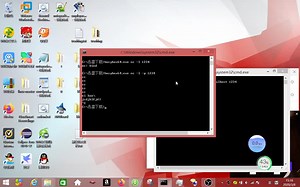 window版busybox中使用netcat就是nc