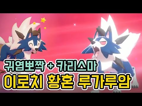 포켓몬스터 소드실드 이로치 암멍이! 황혼 루가루암으로 진화해보았다.