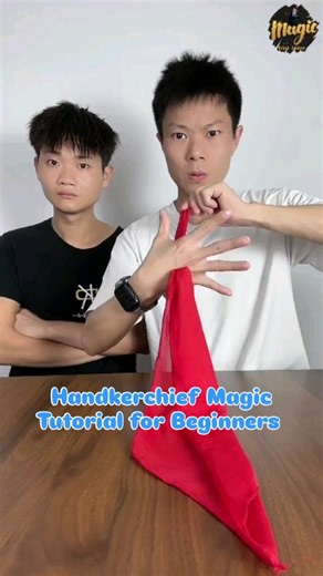 Indranil Sengupta on Instagram: ""Handkerchief Magic Trick 🔮 | Easy & Fun for Beginners!" . . . . "Show some magic with just a handkerchief! 🧣 This simple magic trick is perfect for beginners. With a little practice, you too can become a magician! ✨🎩 Follow for more fun and easy magic tricks! ❤️🎬" . . . . #handkerchiefmagic #magictricks #learnmagic #beginnerart #creativefun #arttutorials #magic #magical #magichour #magicmoments #magico #viralreels #reelitfeelit #instagramreels"