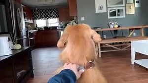 10M views · 266K reactions | LIVE Tucker Reacts to Surprise Girlfriend Visit | Tucker Budzyn | Facebook