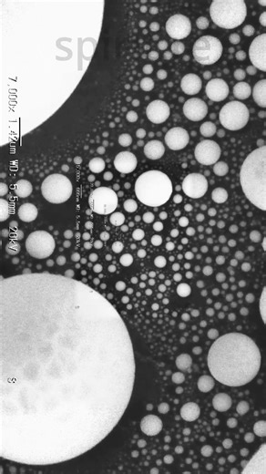 Zooming in from 15x to 100,000x using an SEM