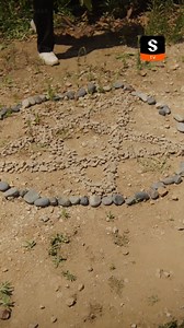 20K views · 360 reactions | Download ShortMax:...