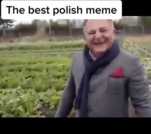 Exploring Polish Memes and Humor
