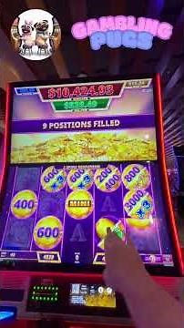 Big Wins on Split N Win Link CATS Slot Machine | Big Bonus Hit! | Gambling Pugs