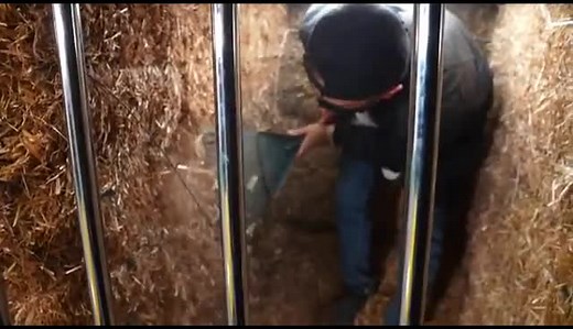 Yusuf Esener TikTok'ta