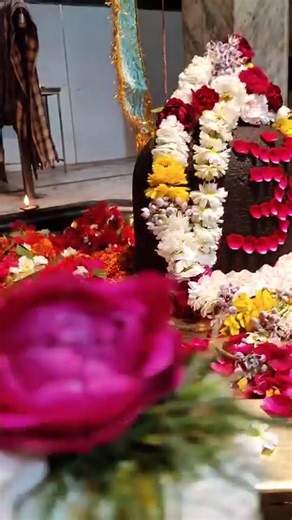 Krishna Shah on TikTok