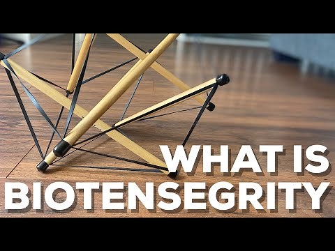 What is BIOTENSEGRITY?