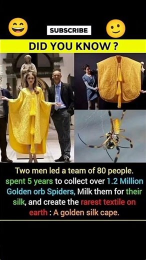 The Rarest Fabric Ever Made | Golden Spider Silk Cape 🕷✨