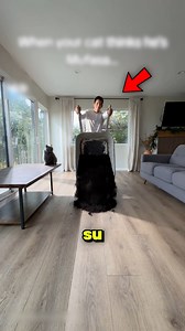 Este dueño ama mucho a su gato 🐱 . . . . . #cat #catlover #curiosidades #reels2025 #gatos | Rayito