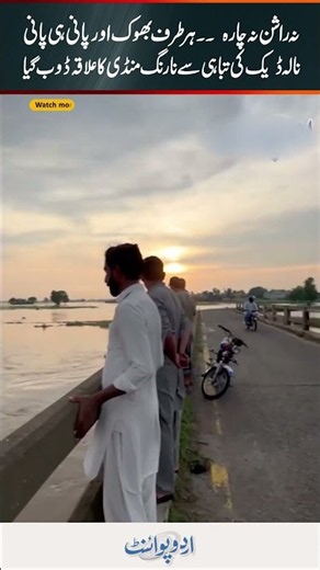 Flood in Nala Daik Narang Mandi - Na Ration Na Chara - Har Taraf Pani - Several Villages Doob Gaye
