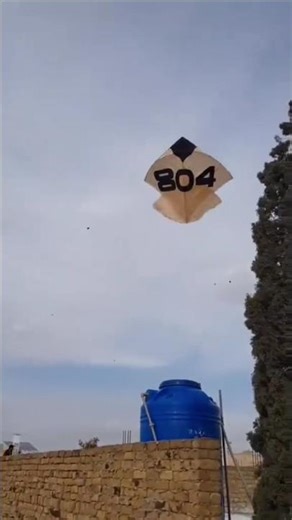 Happy Basant 804 | 2026 Kite Flying #kite #kiteflying#qaidi804 #funny#guddi#804#qaidi804#yt#ytshorts