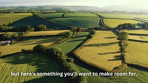 4.3K views · 158 reactions | This is a story of a food that naturally contains vitamin B12, an essential nutrient not naturally present in a vegan diet. | Let's Eat Balanced | Facebook