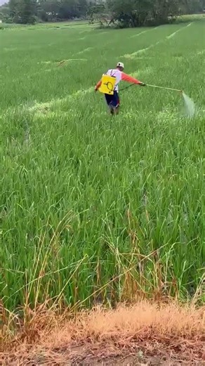 Herbicide application