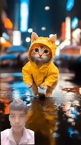 🙀 🌧️Meow Meow Sad Song - Cat in the Rain 🌧️