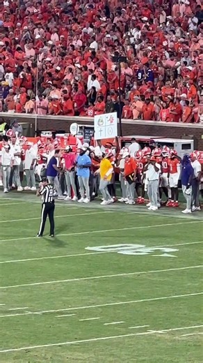 spotted alvin and his chipmunks on the clemson sideline last weekend 🐿️ #clemsonfootball #alvinandthechipmunks