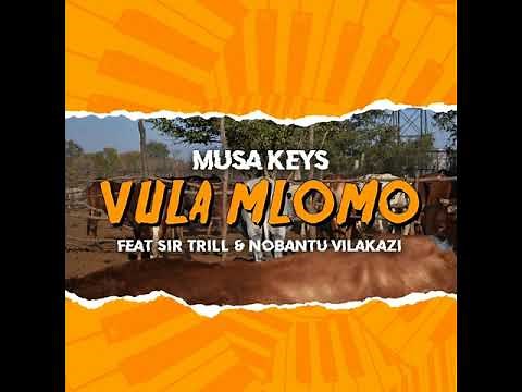 Vula Mlomo by Musa Keys