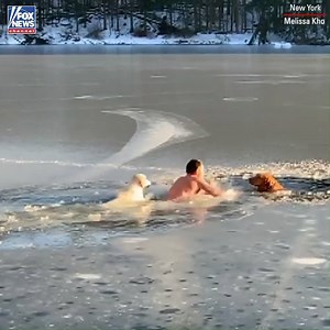 1.4M views · 14K reactions | A man in New York and his dog recently waded out into frozen water to make a daring rescue. | Fox News | Facebook
