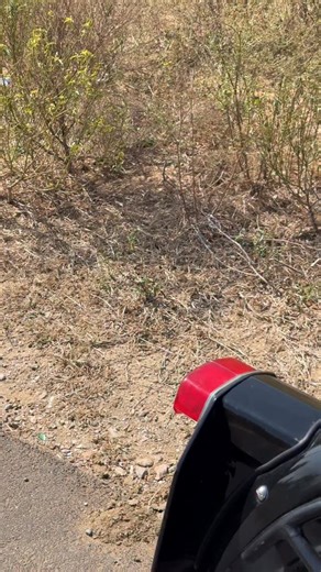 B U L L E T T O W E R 🇮🇳 on Instagram: "Old vintage motorcycle ❤️"