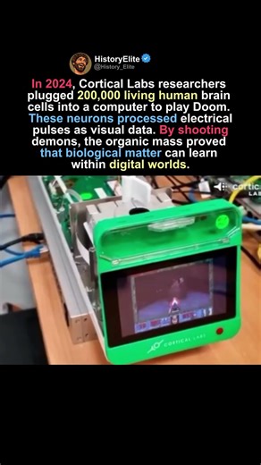 BIOLOGICAL DOOM SLAYER