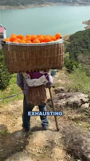 How Drones Are Transforming Orange Farming on Steep Hills