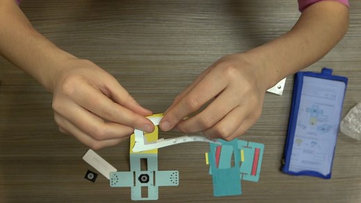 FOLDSCOPE安装教程（中文版）