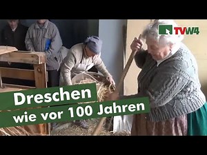 Dreschen wie vor über 100 Jahren