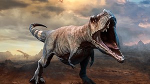 Scientists Claim They Were Able to Recreate the Sound a T-Rex Made and It’s Terrifying