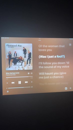 Silver Springs by Fleetwood Mac: An Emotional Lyric Video