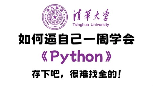 【整整600集】清华大学198小时讲完Python入门到实战全套教程，2025年最新版，全程干货无废话！学完即可上岗！逼自己花一周时间学完，让自己的编程水平猛涨_哔哩哔哩_bilibili
