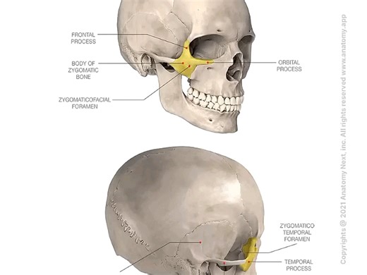 clinxque your cheekbones are so high and prominent! cheek augmentation procedure