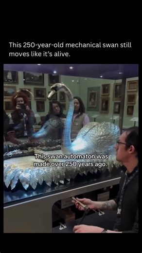 Visual Spirits on Instagram: "The Silver Swan is a breathtaking 250-year-old automaton, handcrafted in 1773 by James Cox and John Joseph Merlin. Made of silver and powered by complex clockwork, it beautifully mimics a real swan gliding across water. It moves its head, preens its feathers, and even catches a fish, all set to gentle music. This mechanical masterpiece is still on display at the Bowes Museum in England, where it performs every day."