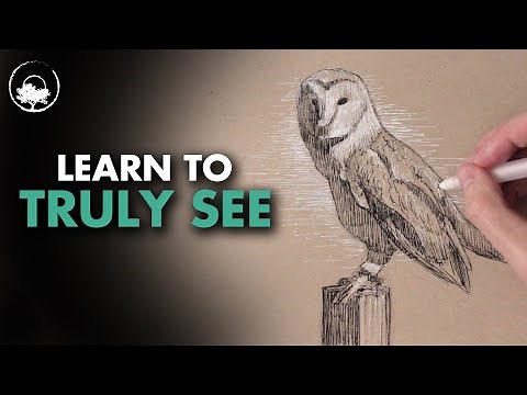 Importance of Observation for Drawing & Painting