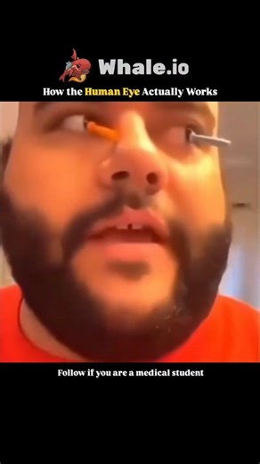 @medicalstudent.io on Instagram: "Ever wondered how your eyes really see the world? This video breaks down the science behind human vision, from how light enters the eye to how your brain interprets images. Learn about the cornea, lens, and retina, and see how each part works together to create the clear images you take for granted every day. Discover surprising facts about how your eyes adjust to light, focus on objects, and even perceive color—your vision is more amazing than you think! #funny