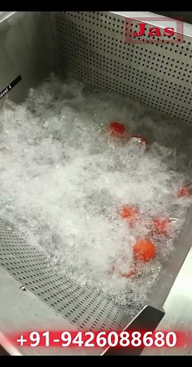 Automatic Tomato Washing Machine | Bubble Washer for Fruits & Vegetables | Jas Enterprise India