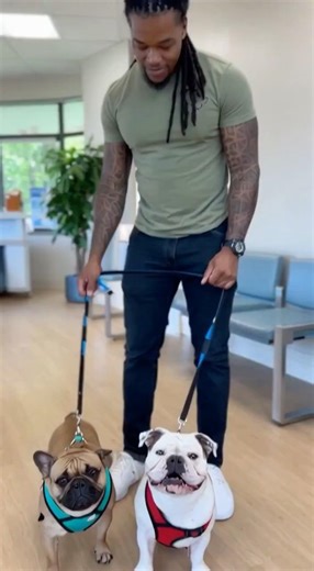 These two baddie🤣#dogs #shorts #foryou #fypシ #ytshorts #viral #trending #dog #doglife #ytviral