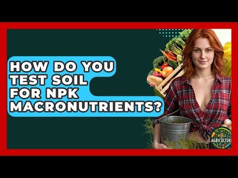 How Do You Test Soil For NPK Macronutrients? - The World of Agriculture
