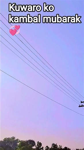 Cool Gadgets!😍Smart Appliances, New Gadgets, Kitchen Gadgets, Home Inventions 🙏 #Shorts #Gadgets