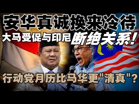 印尼总统取消会面安华恐损害两国关系，网媒呼吁大马摆出强硬立场 | 行动党月历掀起“去华化”疑云