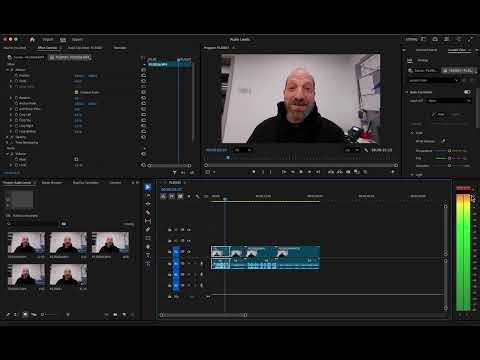 Premiere Pro Normalize Audio Levels