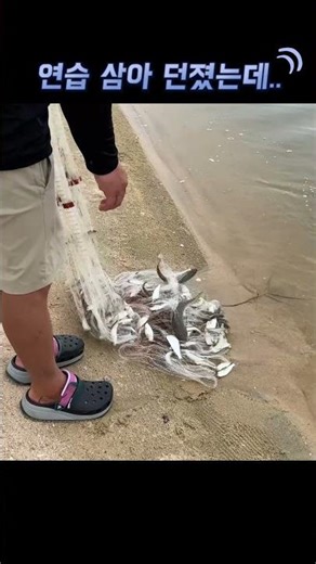 I threw a net while passing by... and hundreds of them...