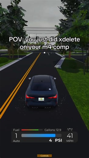 Expensive Choices in Roblox's Southwest Florida