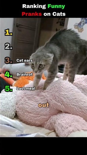 Ranking funniest pranks on cats 😹