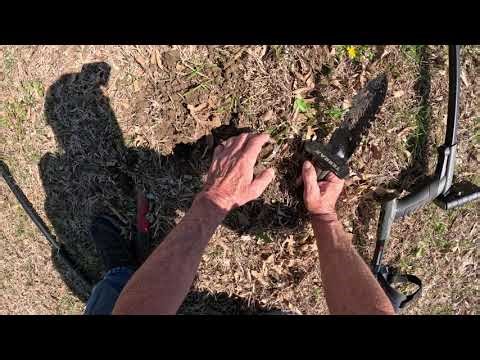 How about a little metal detecting at the park