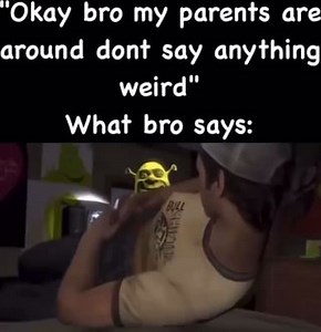 "Okay bro my parents are around dont say anything weird" What bro says: - iFunny