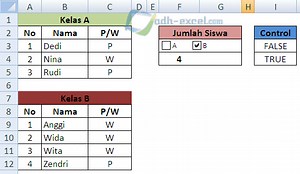 Rumus IF Excel Dengan Kriteria Hasil Pilihan Check Box