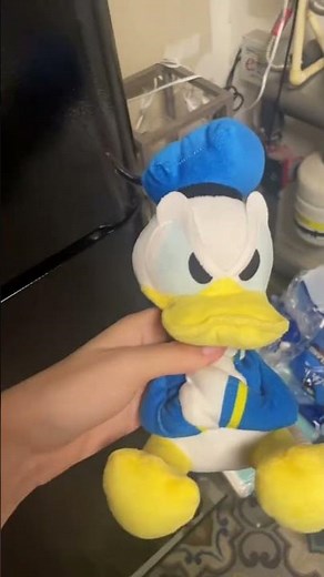 Donald Duck Wants Deez Nuts